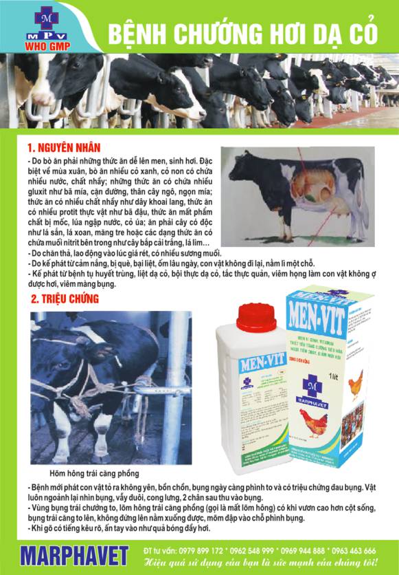 Veterinary Medicine Packaging