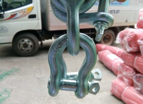 Stainless Steel Shackle