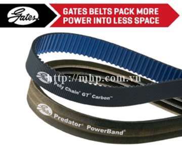 Gates edge belt