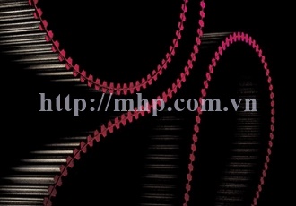 Rubber edge belt