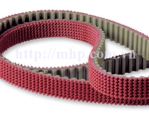 Special edge belt