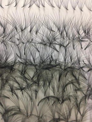 Eyelashes