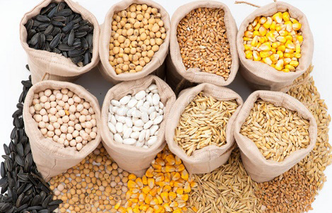 Animal feed ingredients