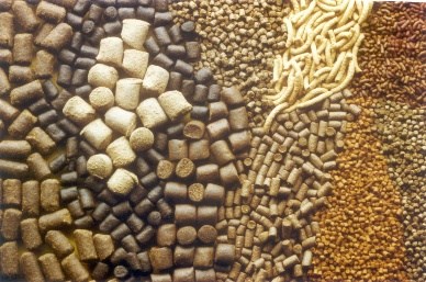 Animal feed ingredients