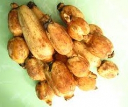 Lotus root