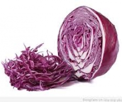 Purple cabbage