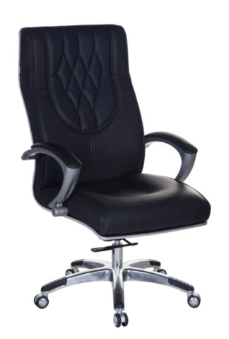 Director chair