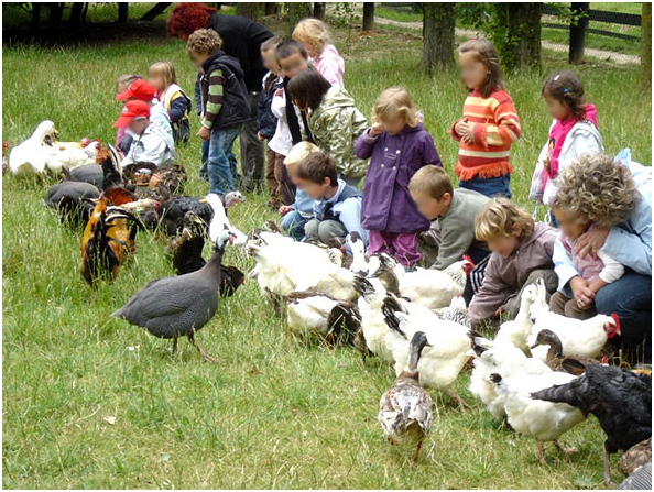 ECO Farm