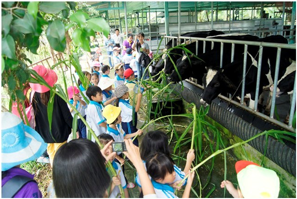 ECO Farm