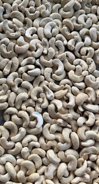 Cashew kernels