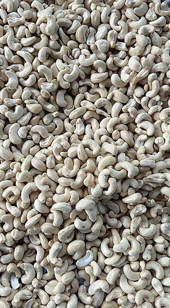 Cashew kernels
