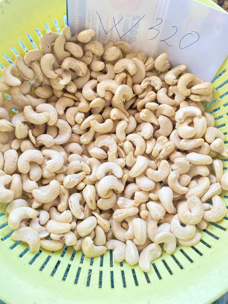 Cashew kernels