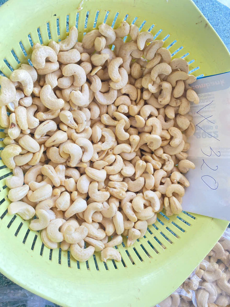 Cashew kernels