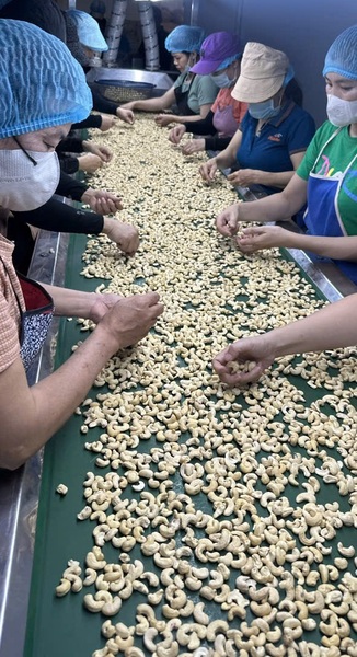 Phi Long Factory