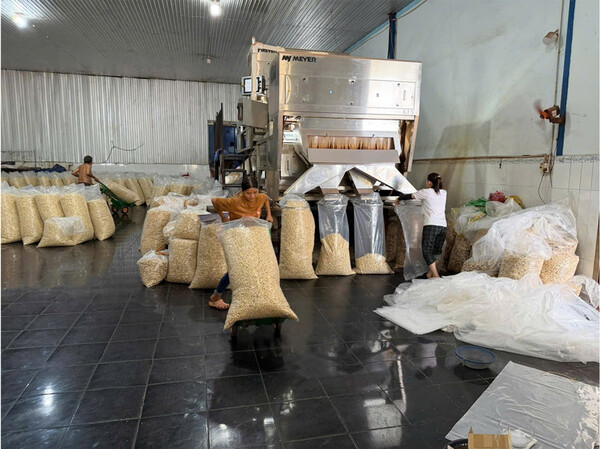 Phi Long Factory