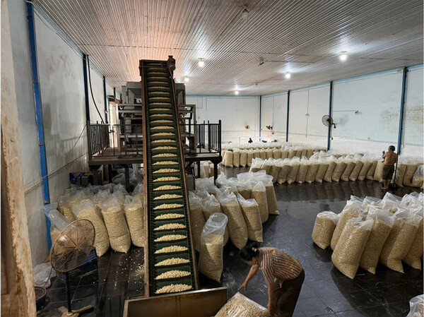 Phi Long Factory