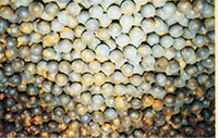 Industrial grinding balls
