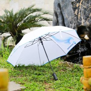 Folded umbrella