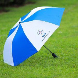 Folded umbrella