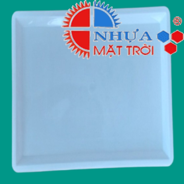 Plastic tray