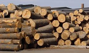 Wood import/export