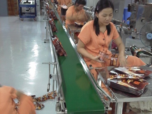 Plastic Conveyor Belts Functions