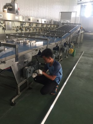 Plastic Conveyor Belts Functions