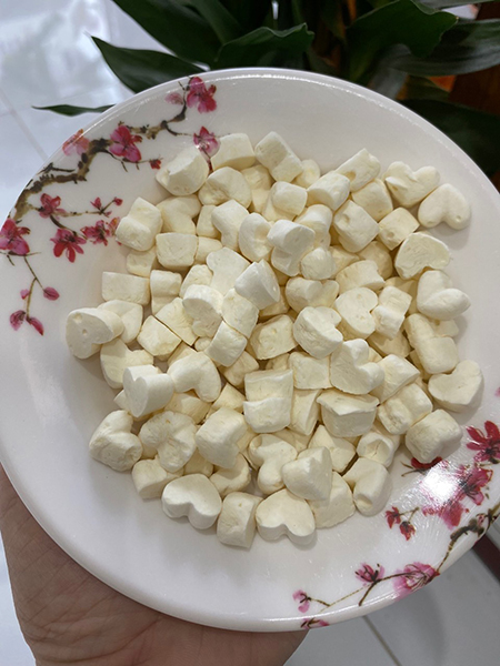 Freeze-dried yogurt