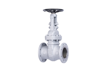 Gate valve