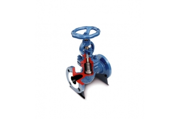 Globe valve