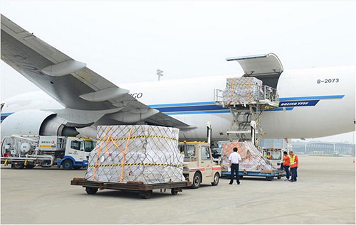 Cargo air transport service