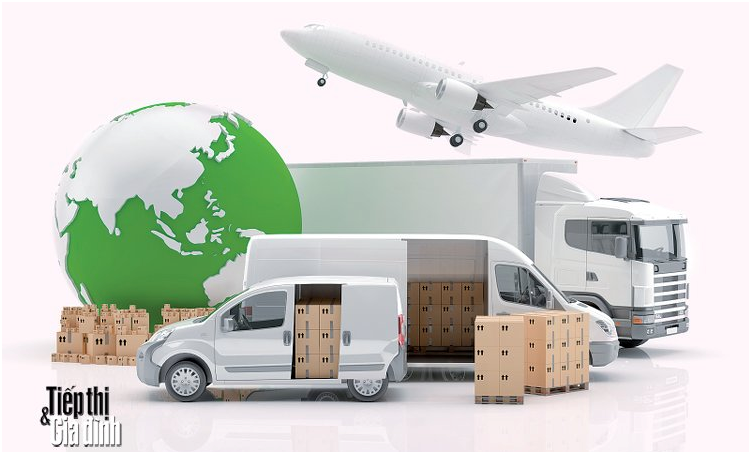 Cargo air transport service