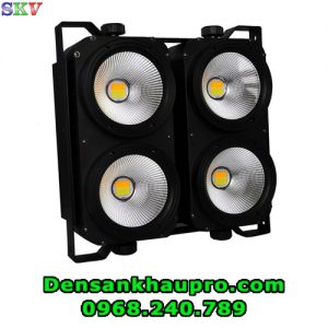Par LED light