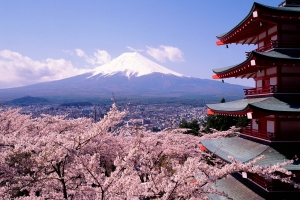 Study abroad in Japan (Work while study)