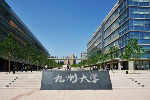 University education