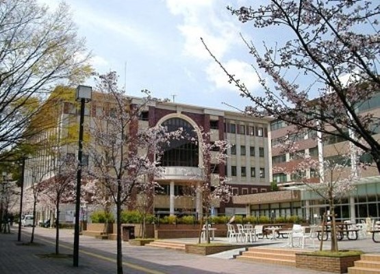 University education
