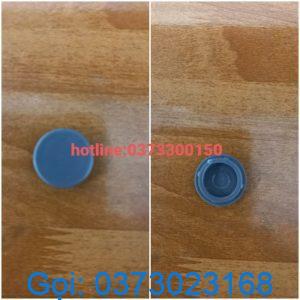 Plastic cap
