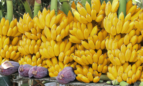 Fresh Fruit