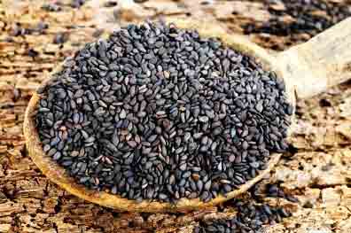Black sesame