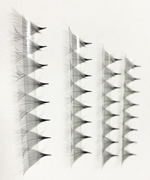 Fan eyelashes