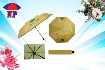 Folded umbrella
