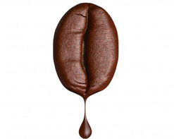 Coffee extract