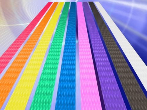 Plastic Belt