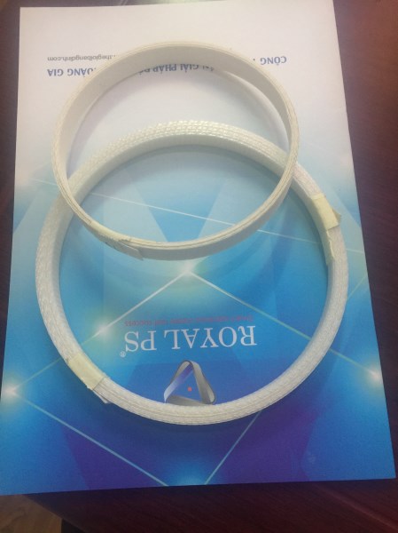 Plastic Belt