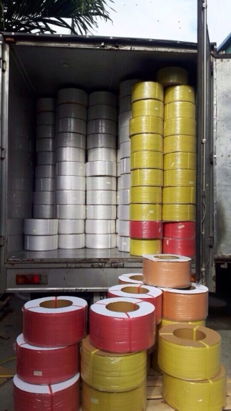 Plastic Belt