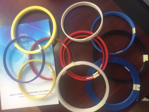 Plastic Belt