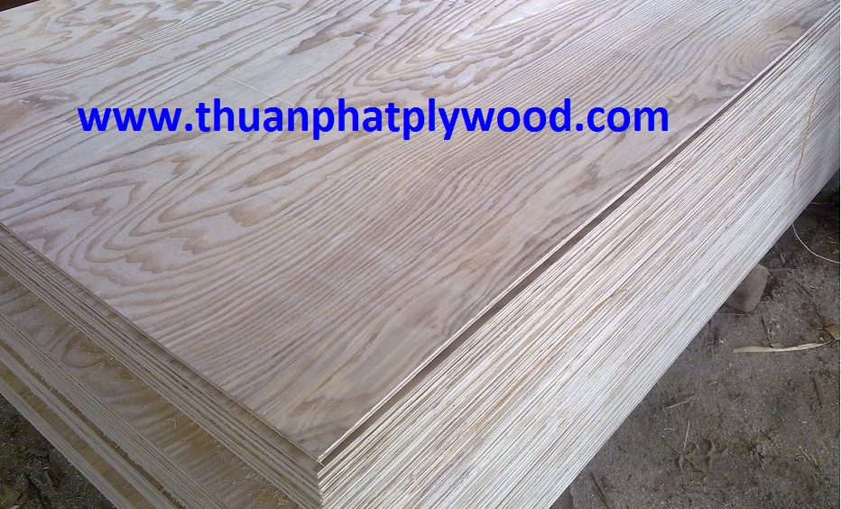 Ash Plywood