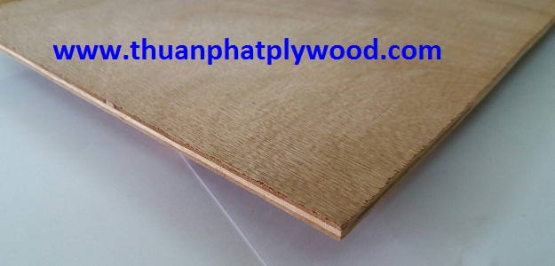 Pencil cedar Plywood