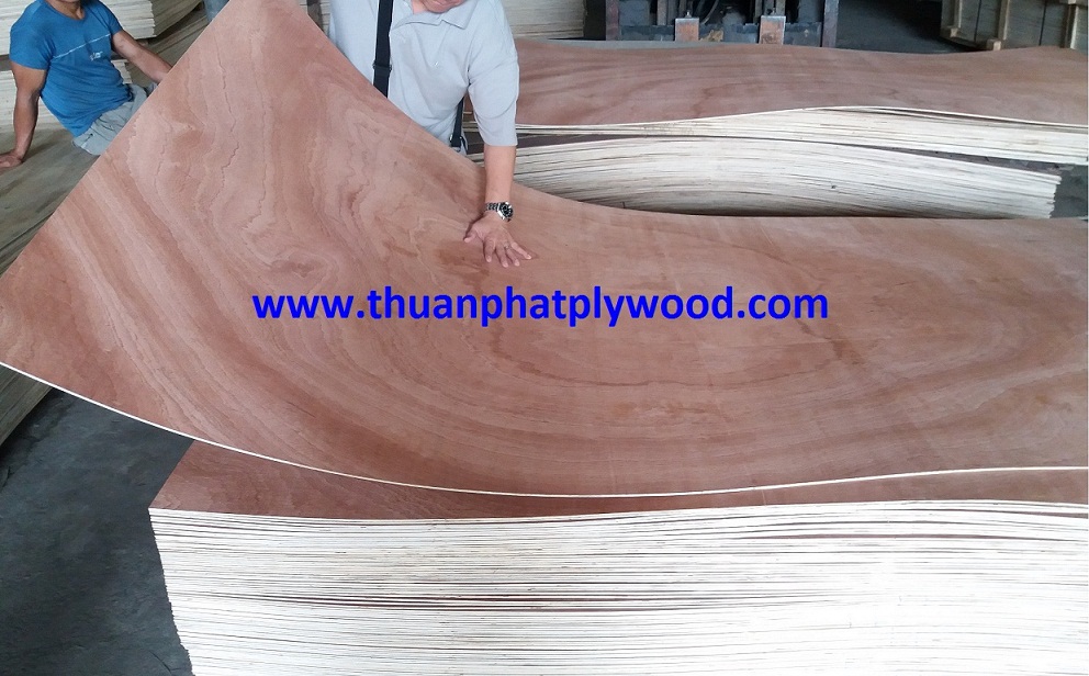 Sapelli Plywood