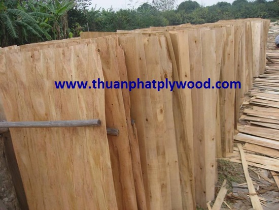 Core veneer